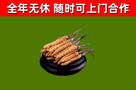 万山烟酒回收冬虫夏草.jpg